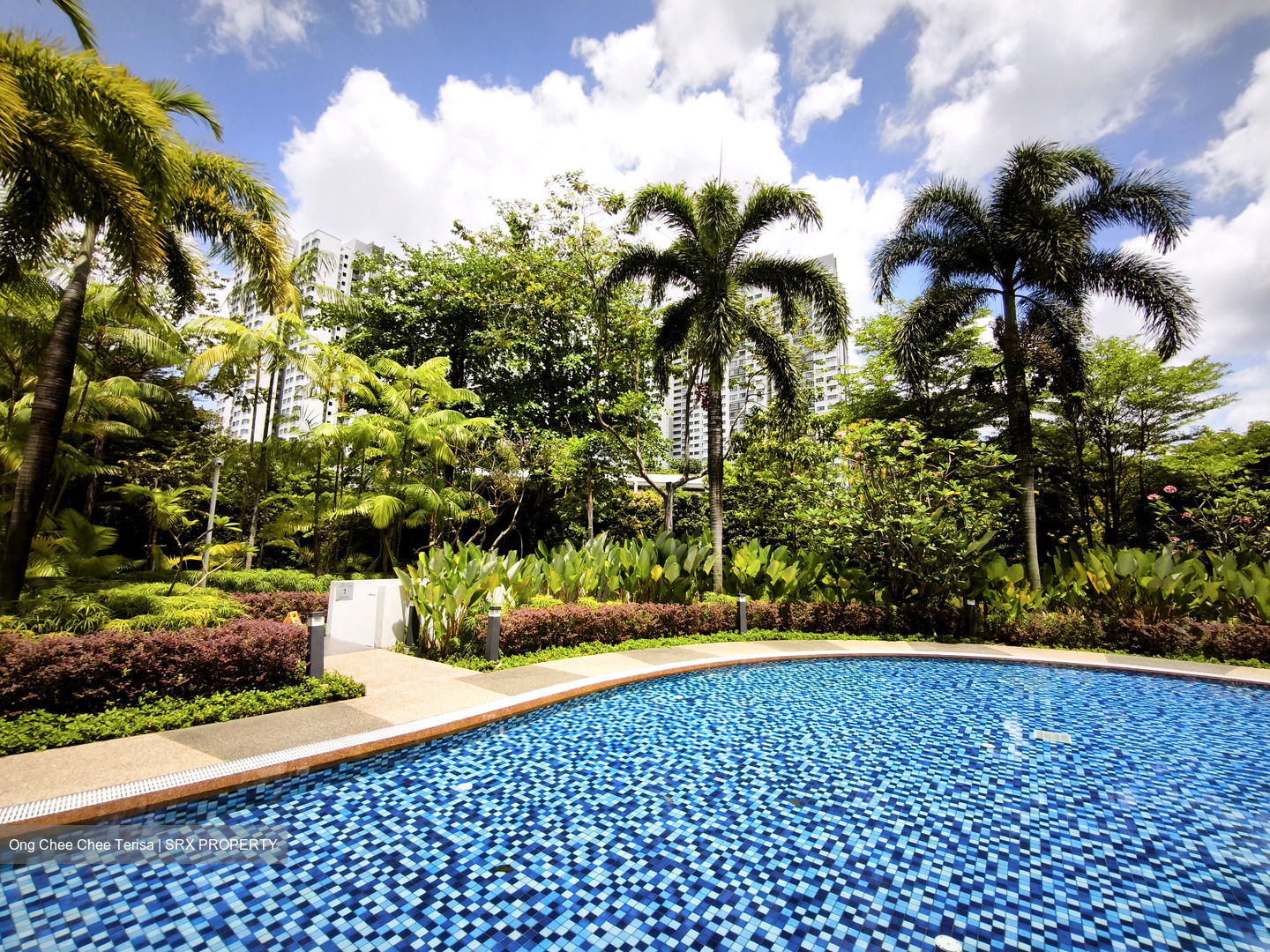 Beacon Heights (D12), Condominium #536205731